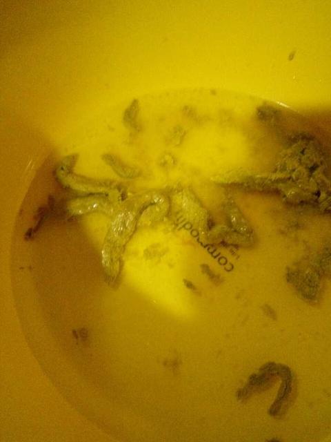 一岁宝宝便秘能用开塞露吗