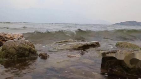 491震撼大气海河湖水波浪水面波纹海浪冲刷岩石壮美大自然视频视频素材抖音大屏幕素材视频