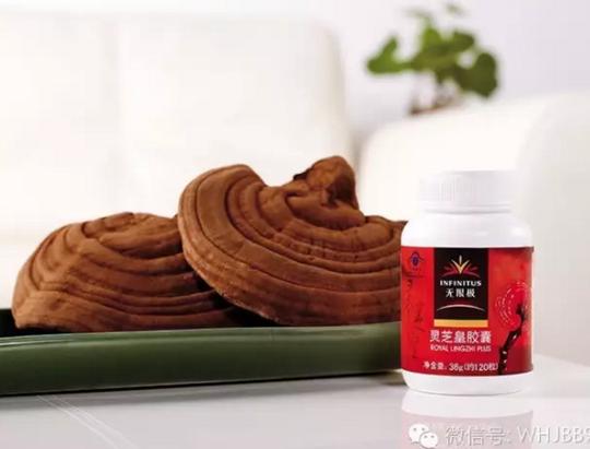无限极灵芝皇_在家创业888_新浪博客