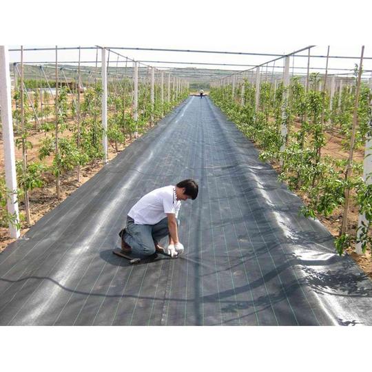 园艺地布蓝莓草莓种植防草布除草地布园艺农业种植黑色编制布