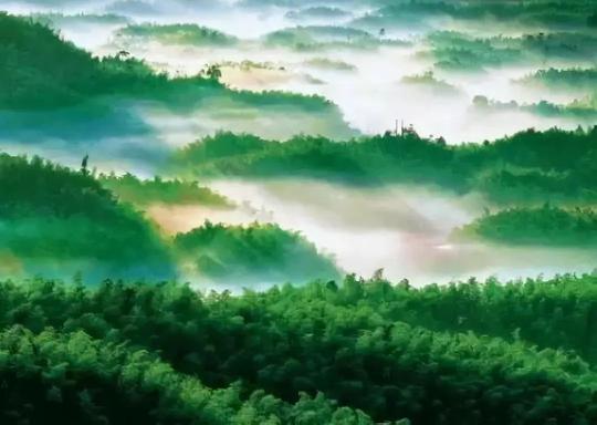 旅游正文林道深深,碧水悠悠,风出过茂密的竹林发出沙沙的声响.