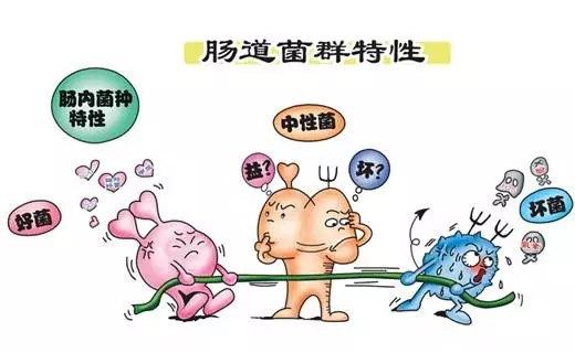 0-1岁宝宝腹泻调理方法