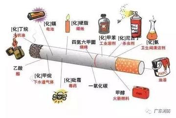 最新热点！广东烟草电子商务网站“春兰秋菊”