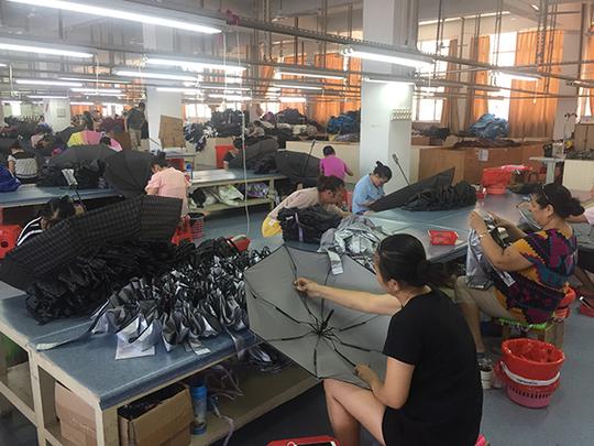 伞都福建东石转型观察:政府欲抓共享机遇,伞企却怕烧钱