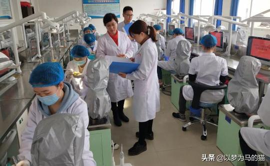 好创业的专业(这12个适合创业的大学专业)