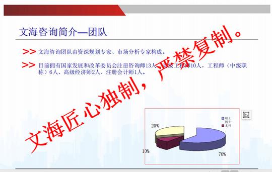 黄冈代做项目计划书公司创业计划书代写