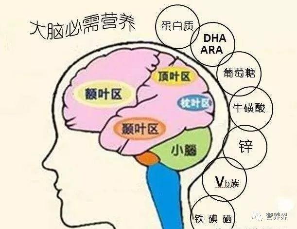 孕妇补充dha不能超过多少