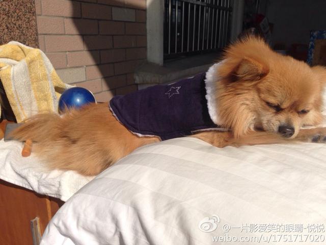 小宝宝洗完澡能马上睡觉吗