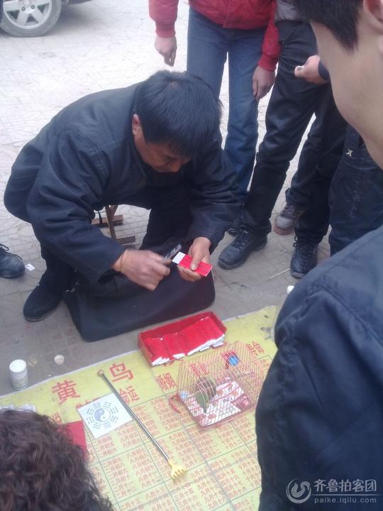 所谓的小鸟算命其实就是一种小小的江湖骗术