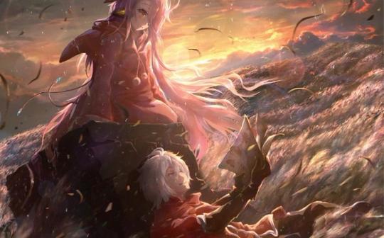 [二次元/混剪/超燃]此视频20秒后无人能白嫖