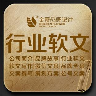 软件产品营销方案经典画册文案文案策划童装创业计划书价格