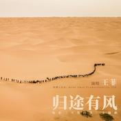归途有风(王菲)