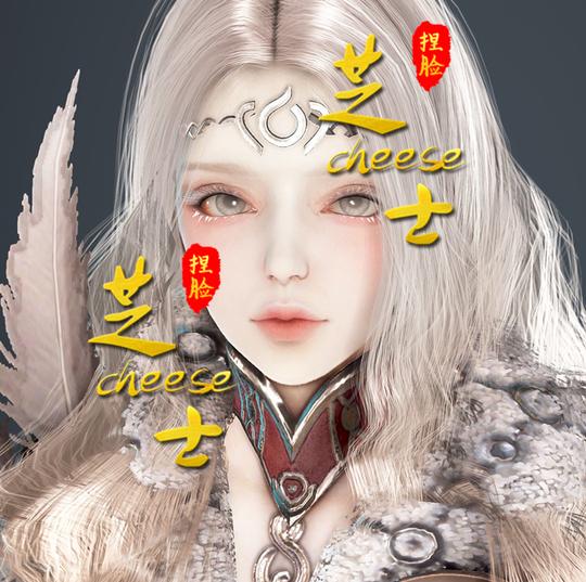 【芝士】黑色沙漠pc端捏脸捏人数据模板【台服女巫】女法师101