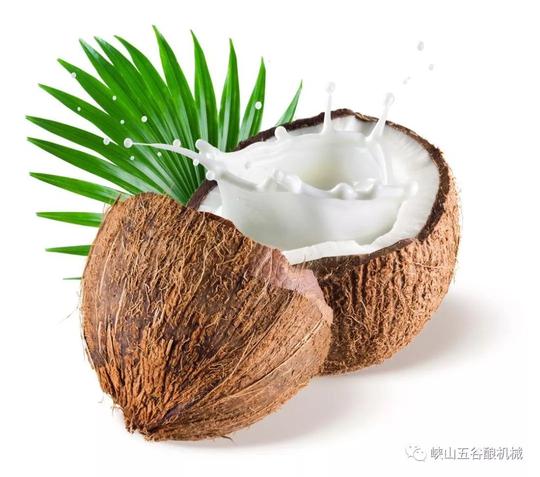 五谷酿:椰汁酒的酿造