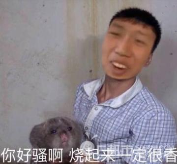 你好骚呀搞笑斗图表情