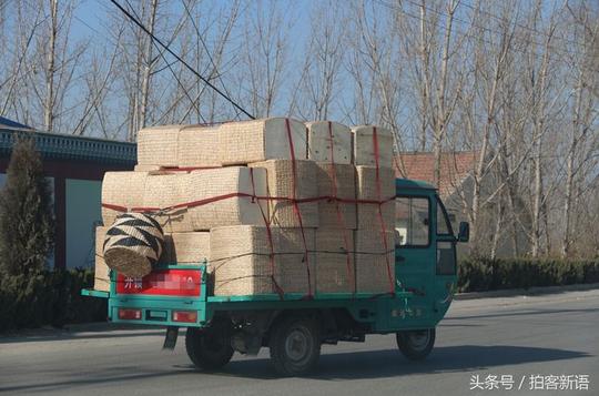 农村人赚钱的路子很多,不起眼的生意反而赚钱最多,买车盖楼