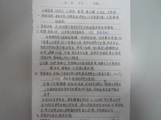 检测不同环境的细菌和真菌