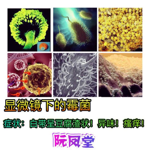 6个月以后宝宝免疫力下降