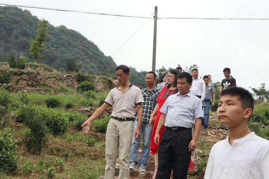 公益专家导师团深入黄山新明乡精准帮扶大学生创业