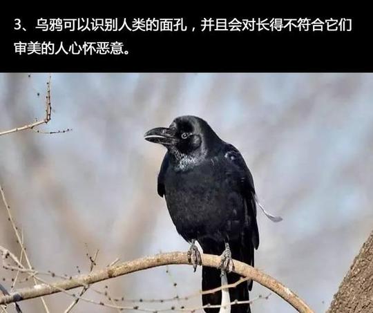 所有中国人一起跳会发生什么?让你大开脑洞的冷门知识
