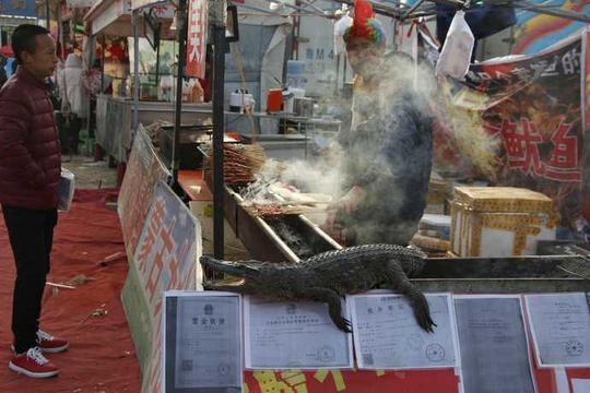 活久见！小贩卖鳄鱼肉生意火爆日赚万元