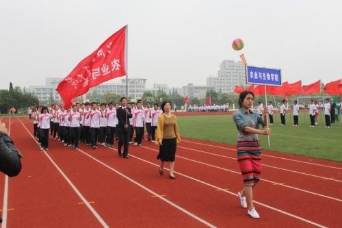 今天,我们举行了一年一度的春季运动会,校园四周彩旗飘飘,大家的口号