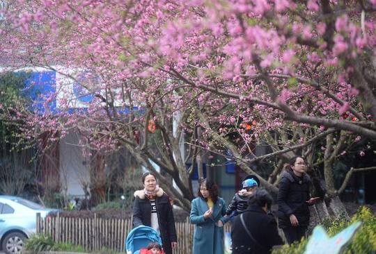每次她都会拿出手机拍上几张美景图片和录上一段视频,然后发朋友圈.