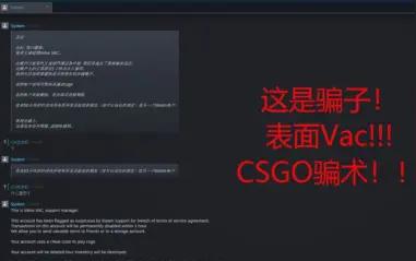 刀和手套没了!csgo新骗术?盗你号，删好友，假装客服骗库存!
