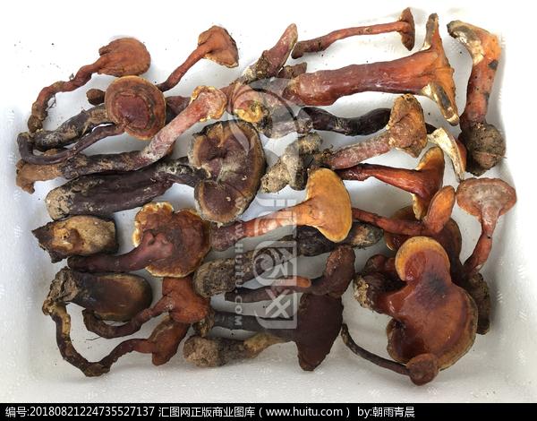 桂林全州中草药收购市场相关长尾关键词有哪些