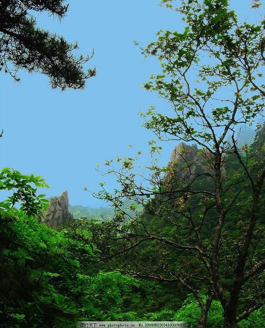 黄山小景蓝天山岩树木绿叶小红花旅游摄影摄影图库