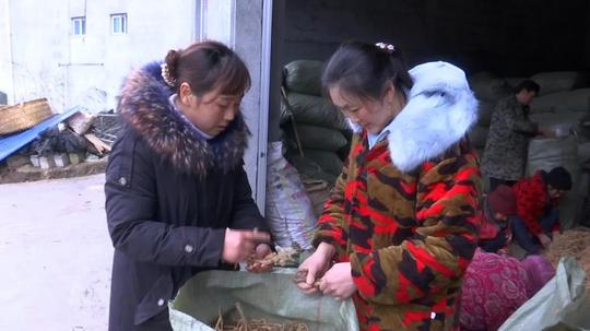 她为爱回家,还成了脱贫路上的致富带头人|巫溪文明网