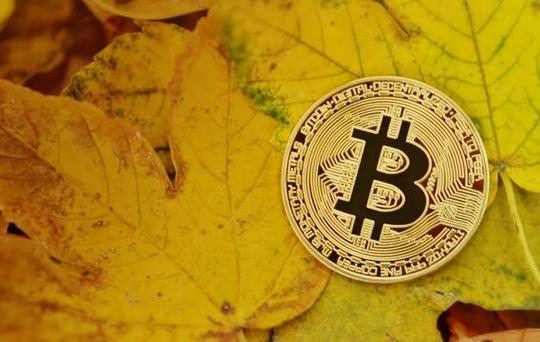 2017年比特币是骗局吗_挖矿比特币是骗局吗_比特币是骗局吗