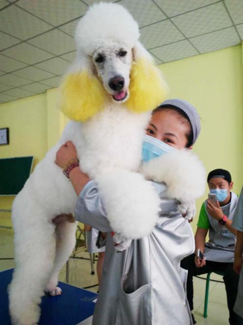 结果没想到的是我爸看我裤子湿了,上来就是一脚:"多大了还尿裤子!
