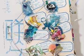 飞鸟(刘逸云 Amber Liu)