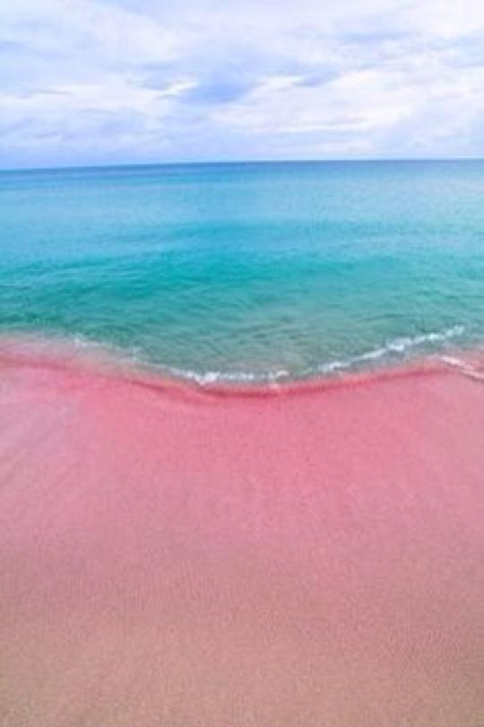 世上独一无二的粉色沙滩巴哈马哈勃岛东侧的pinksandsbeach