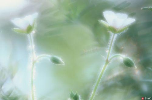 2020早安心语正能量朋友圈图片