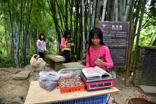"农村孩子早当家",在广东景区,有许多乡村娃在景区当"小老板"赚钱帮补