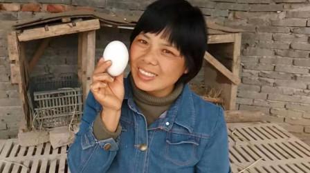 农村媳妇拍短视频介绍自家的土特产，想通过电商销售出去，大家说能行吗