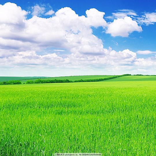 草原风景图风景素材摄影自然风景自然景观图片素材绿色jpg