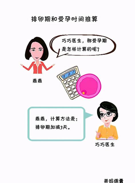女人一天中最佳受孕时间