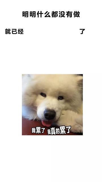 明明什么都没做就已经壁纸图片