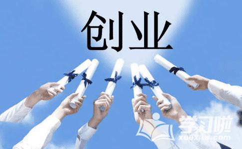 创业成功案例分析ppt素材