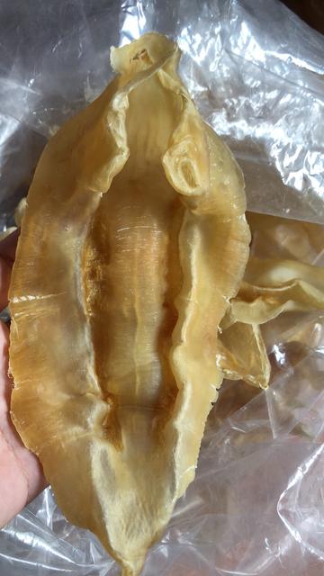 备孕最佳受孕期