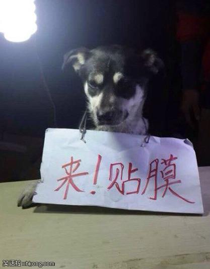这年头，生意难做日子不好过啊!