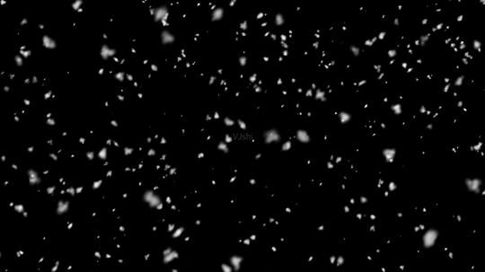 下雪鹅毛大雪超清视频_1920x1080_高清视频素材下载