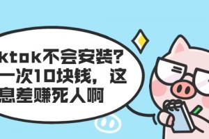 tiktok不会安装?装一次10块钱，这信息差赚死人啊