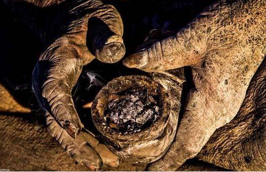 孩子不爱洗头怎么办?