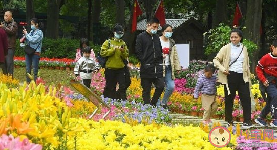 赞美菊花盛开的唯美句子