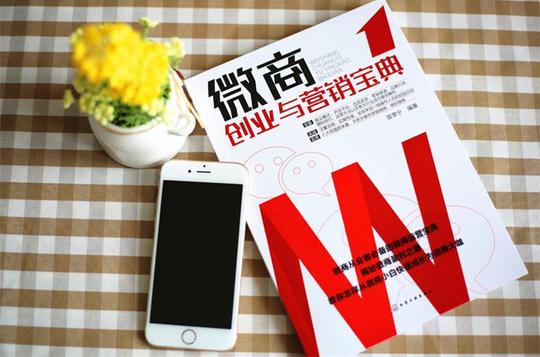 正版书籍微商创业与营销宝典9787122266361苗李宁
