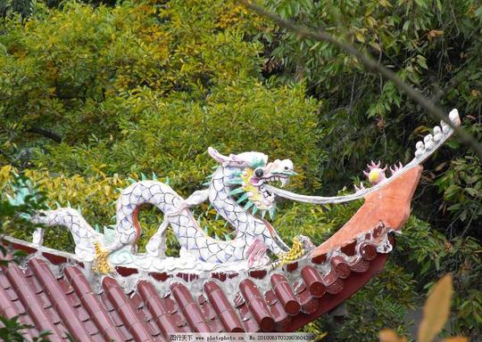 龙雕塑建筑植物森林庙宇石雕艺术雕刻古代传说国内旅游